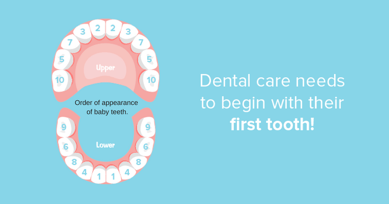 Healthy baby teeth will grow into healthy adult teeth.